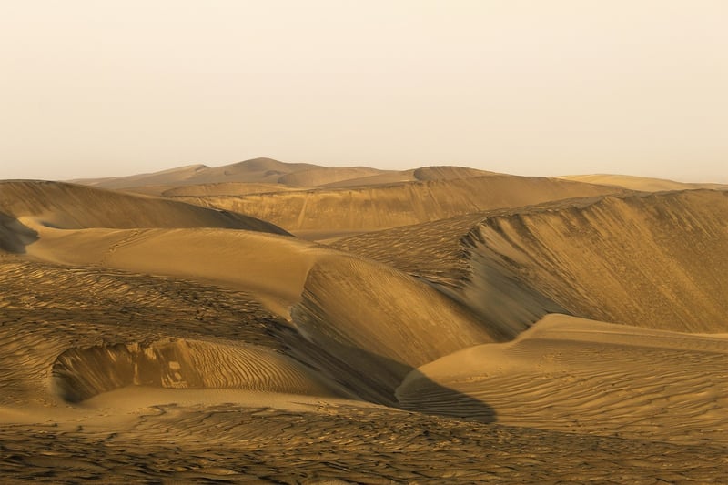 Dune Bashing Excursion